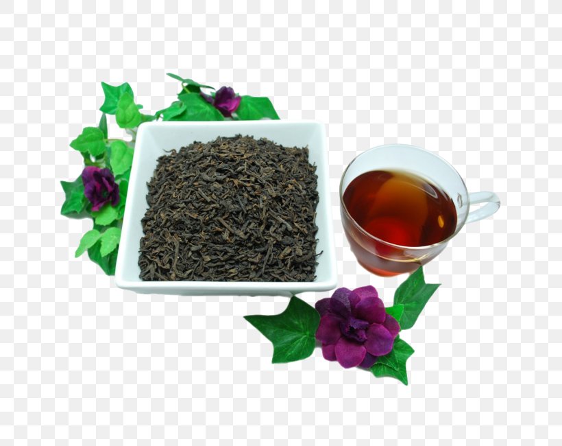 Oolong Nilgiri Tea Tea Plant Earl Grey Tea, PNG, 650x650px, Oolong, Assam Tea, Bancha, Ceylon Tea, Chinese Herb Tea Download Free