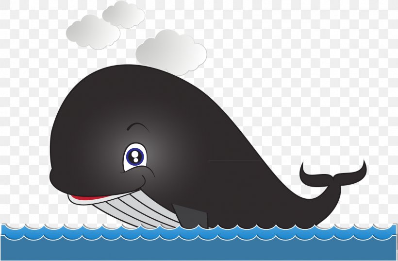 Cartoon Whale Drawing, PNG, 1611x1056px, Cartoon, Baleen Whale, Dolphin, Drawing, Mammal Download Free