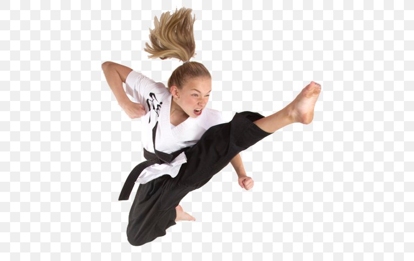 Martial Arts Karate Kick Video, PNG, 518x517px, Martial Arts, Arm, Child, Dance, Dvd Download Free