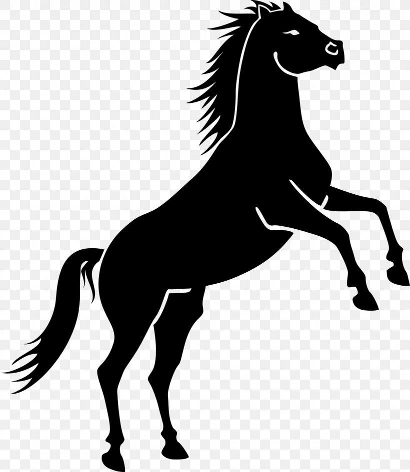 Mustang Rearing Clip Art, PNG, 1665x1920px, Mustang, Black, Black And White, Bridle, Collection Download Free