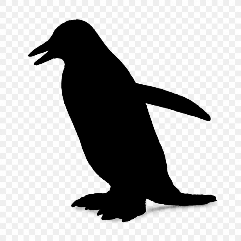 Penguin Sea Lion Fauna Beak, PNG, 1024x1024px, Penguin, Beak, Bird, Fauna, Flightless Bird Download Free