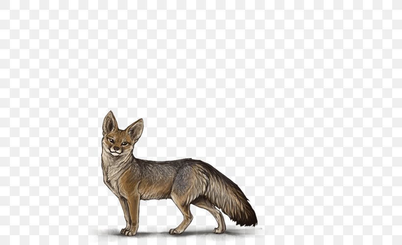 Red Fox Dog Breed Jackal Fauna, PNG, 640x500px, Red Fox, Breed, Carnivoran, Dog, Dog Breed Download Free