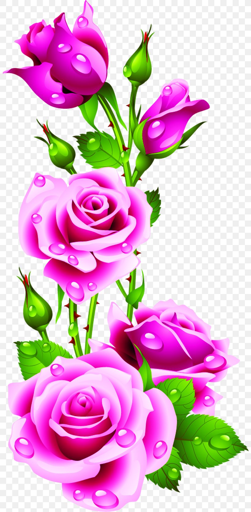 Rose Pink Flowers Pink Flowers Clip Art, PNG, 804x1672px, Rose, Bud, Color, Cut Flowers, Flora Download Free