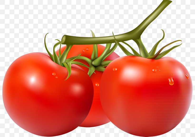 Cherry Tomato San Marzano Tomato Stock Photography Clip Art, PNG, 800x577px, Cherry Tomato, Bush Tomato, Diet Food, Food, Fruit Download Free