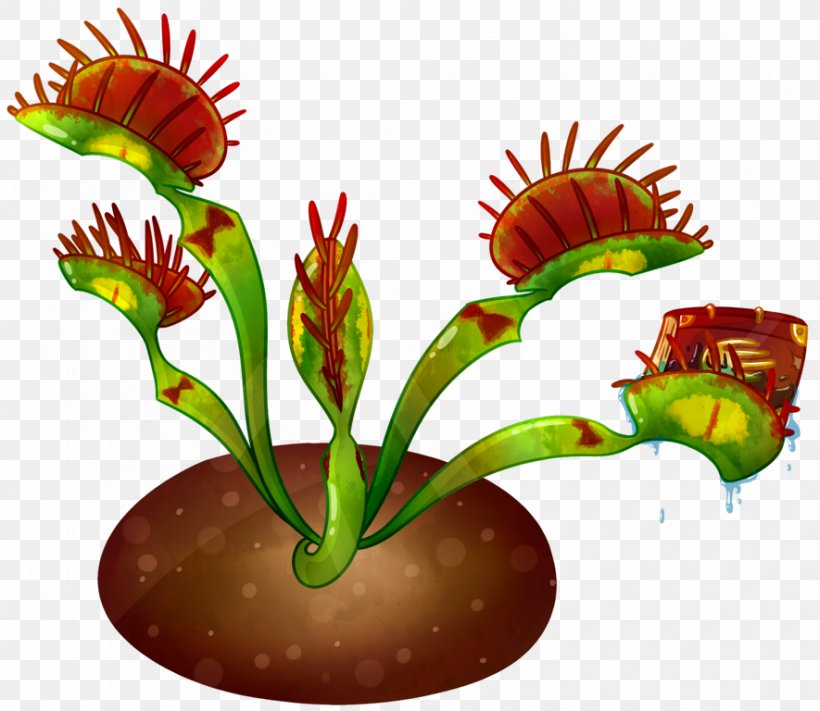 Flowerpot Plant Stem, PNG, 885x768px, Flower, Flowerpot, Organism, Plant, Plant Stem Download Free