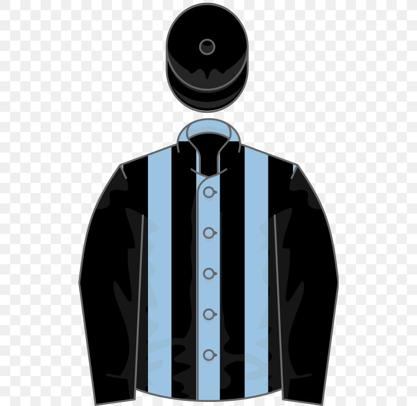 Horse Racing Greenham Stakes Light Blue, PNG, 512x799px, Horse, Black, Blue, Electric Blue, Green Download Free