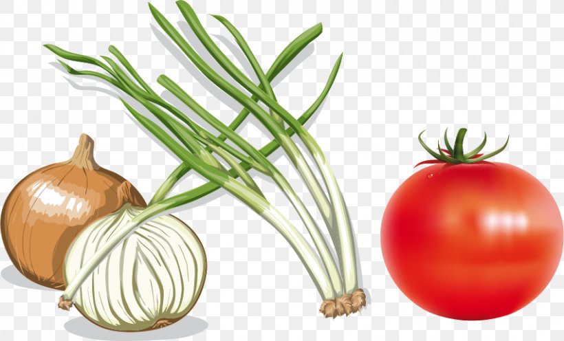 Onion Vecteur Computer File, PNG, 851x515px, Onion, Allium Fistulosum, Diet Food, Food, Fruit Download Free