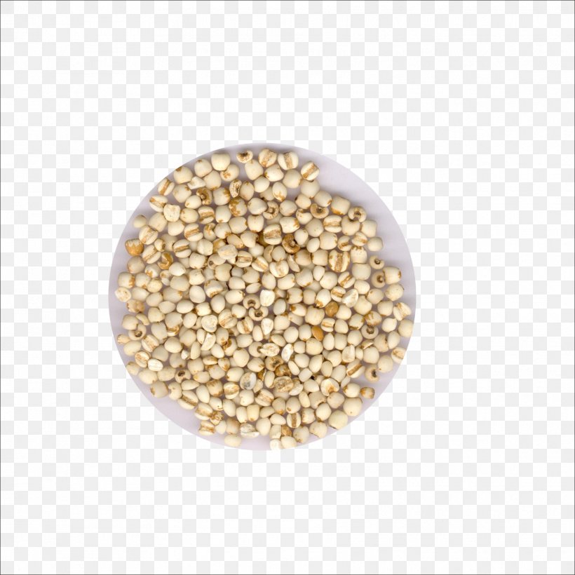 Sorghum Adlay Seed Extract Barley, PNG, 1773x1773px, Sorghum, Adlay, Barley, Cereal, Coix Download Free