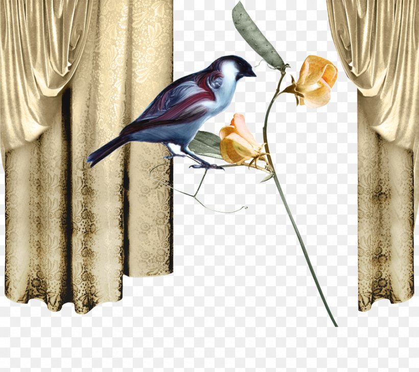 Theres Someone Inside Your House Curtain Clip Art, PNG, 900x800px, Theres Someone Inside Your House, Albom, Animation, Beak, Bird Download Free