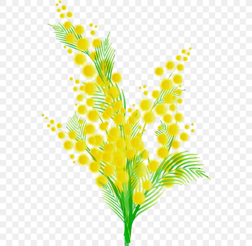 Yellow Plant Leaf Flower Grass, PNG, 552x800px, Watercolor, Branch, Cut Flowers, Flower, Goldenrod Download Free