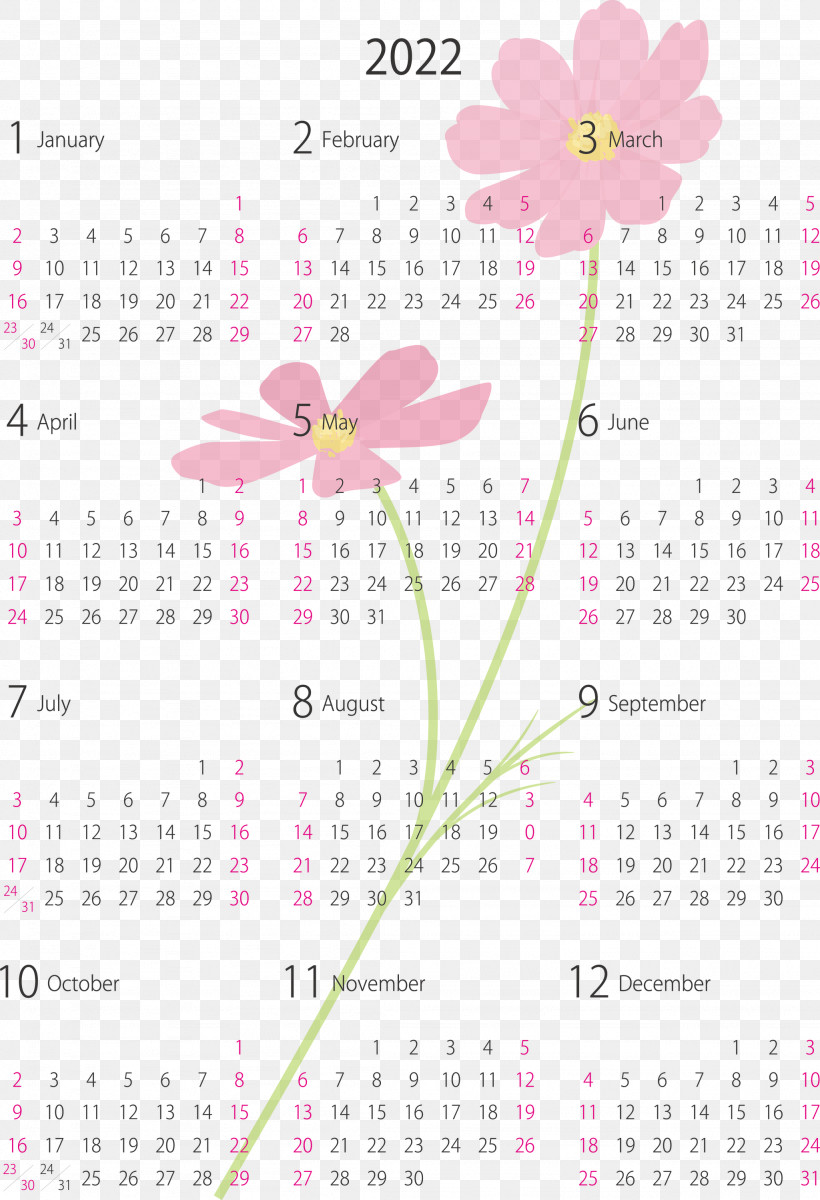 2022 Yearly Calendar Printable 2022 Yearly Calendar, PNG, 2049x2999px, Flower, Biology, Calendar System, Meter, Petal Download Free