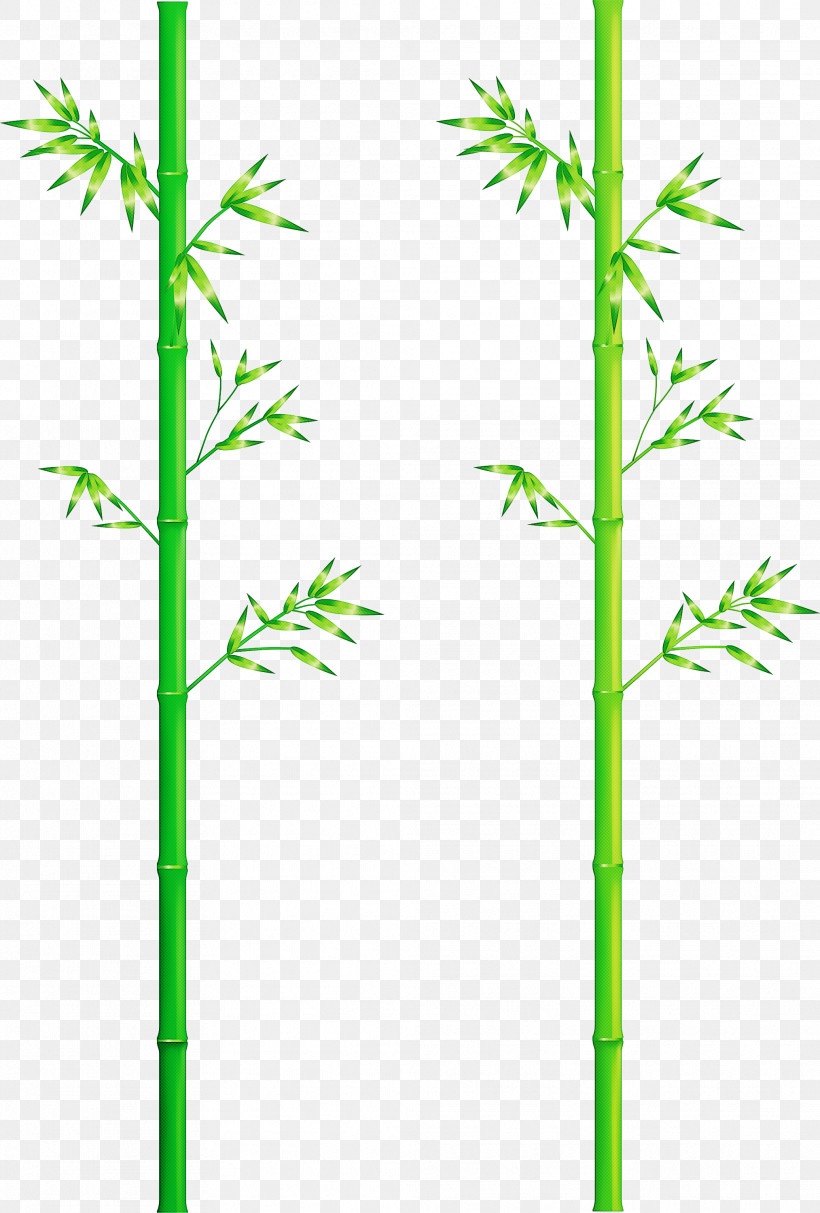 Bamboo Leaf, PNG, 2027x3000px, Bamboo, American Larch, Elymus Repens, Flower, Grass Family Download Free