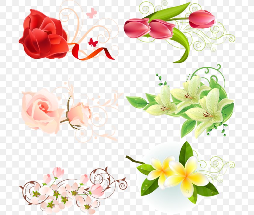 Flower Download Clip Art, PNG, 699x693px, Flower, Artificial Flower, Blossom, Cut Flowers, Flora Download Free