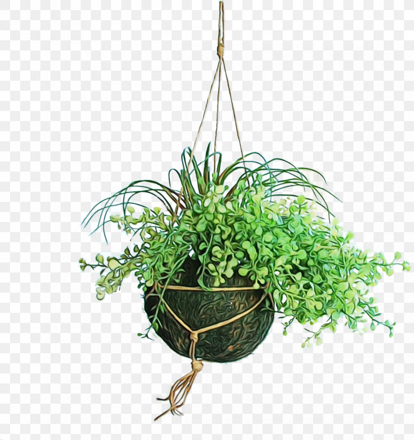 Flowerpot Plant Grass Flower Houseplant, PNG, 1220x1298px, Watercolor, Flower, Flowerpot, Grass, Herb Download Free