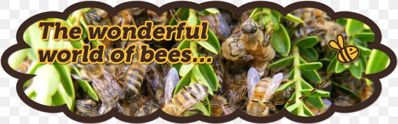Honey Bee Bee Pollen Worker Bee Beehive, PNG, 960x300px, Bee, Animal Source Foods, Apitoxin, Bee Pollen, Beehive Download Free