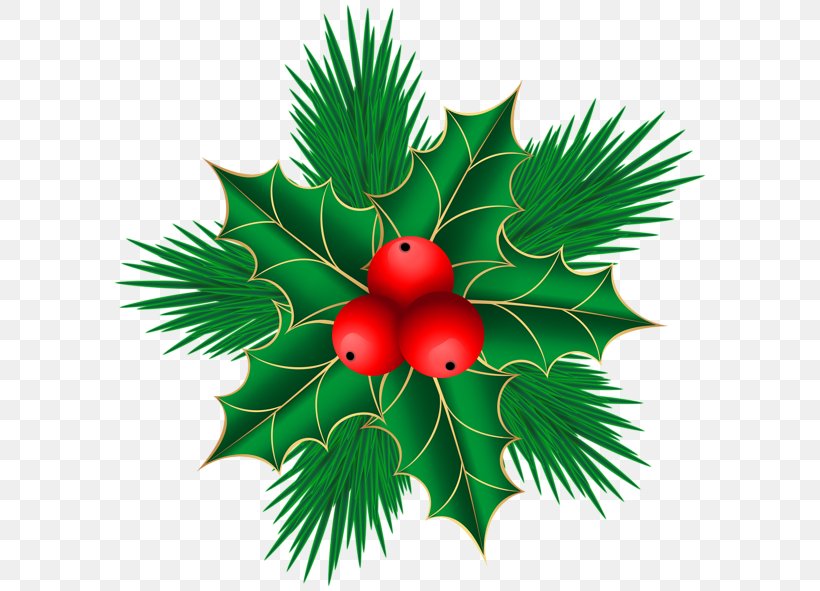Mistletoe Christmas Decoration Clip Art, PNG, 600x591px, Mistletoe, Aquifoliaceae, Aquifoliales, Branch, Christmas Download Free