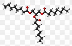 Molecule - Tributyrin Triglyceride Molecule Glycerol Fat PNG