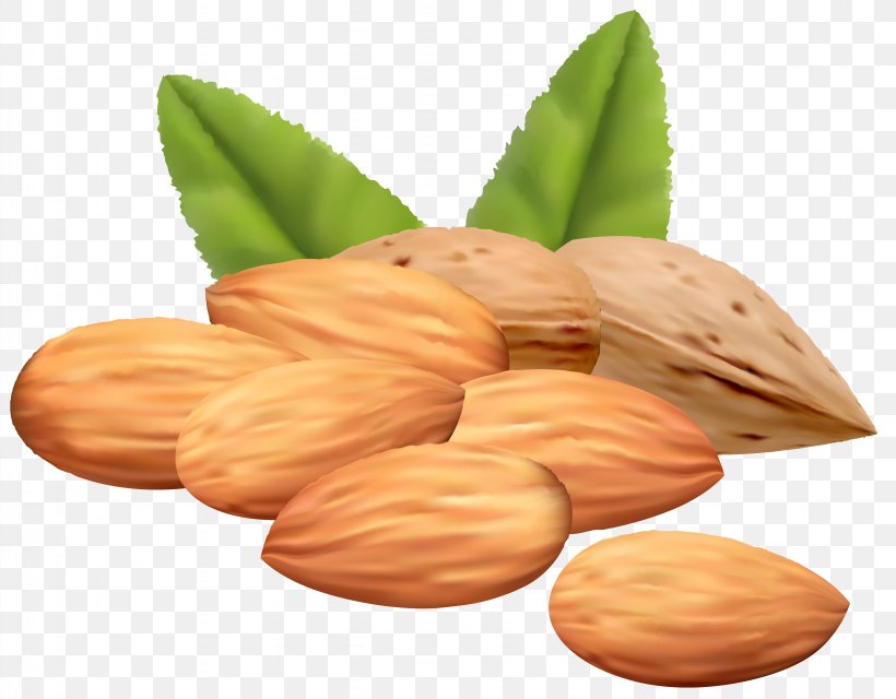 Almond Royalty-free Stock Photography Clip Art, PNG, 6343x4955px, Almond, Almond Butter, Almond Paste, Commodity, Drawing Download Free