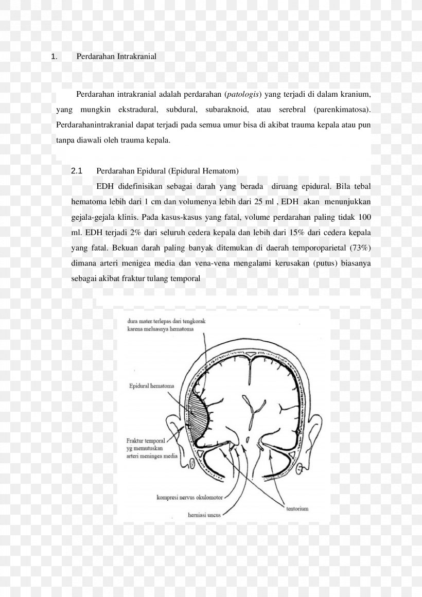 Ear Document Sketch, PNG, 1653x2339px, Watercolor, Cartoon, Flower, Frame, Heart Download Free