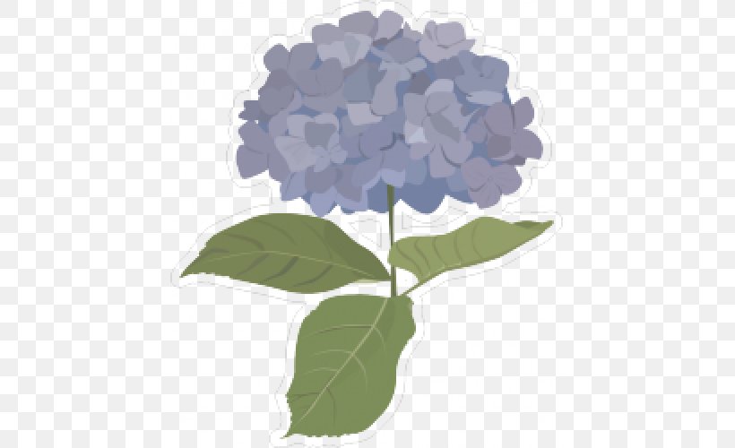 French Hydrangea Clip Art, PNG, 500x500px, French Hydrangea, Cornales, East Asian Rainy Season, Floral Design, Flower Download Free