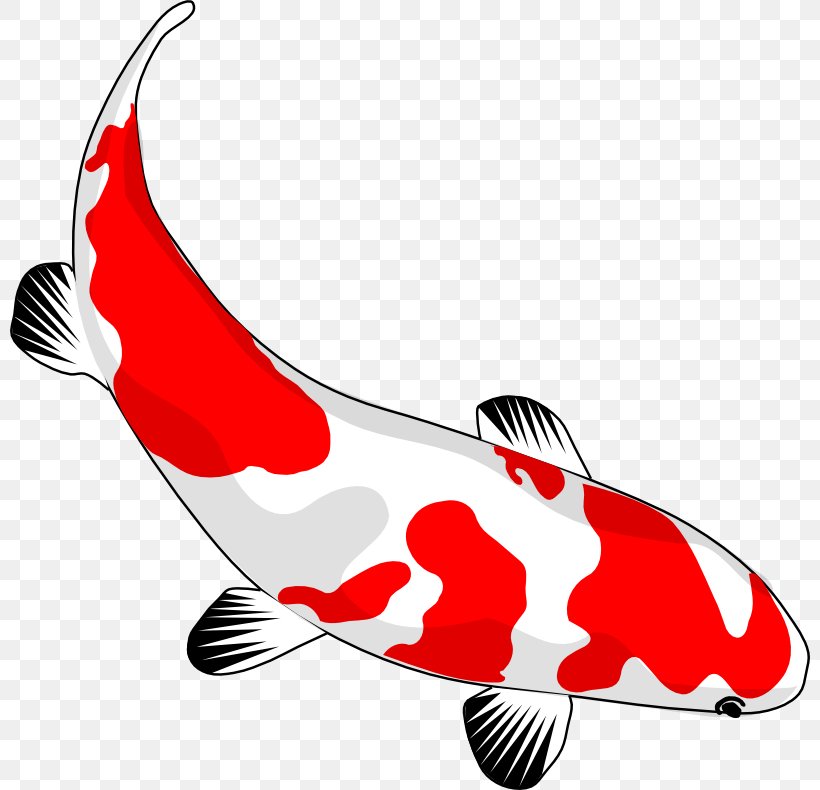 Koi Goldfish Drawing Clip Art, PNG, 800x790px, Koi, Carp, Common Carp, Drawing, Fish Download Free