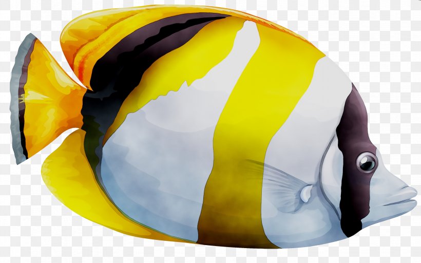 Spot-nape Butterflyfish Vector Graphics Illustration Image Photograph, PNG, 3479x2173px, Royaltyfree, Butterflyfish, Chaetodon, Depositphotos, Emperor Penguin Download Free