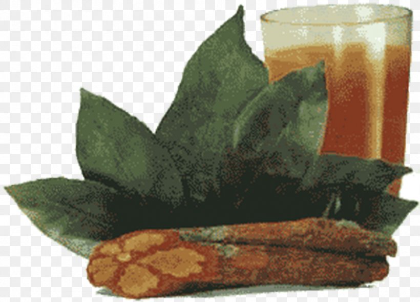 Ayahuasca Santo Daime Tea Caapi Amazon Rainforest, PNG, 938x674px, Ayahuasca, Amazon Rainforest, Caapi, Decoction, Drink Download Free