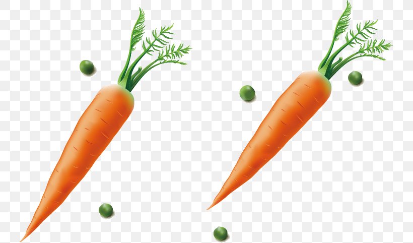 Baby Carrot Diet Food Fruit, PNG, 741x482px, Baby Carrot, Carrot, Diet, Diet Food, Food Download Free