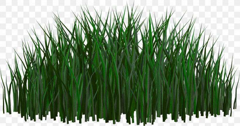 Clip Art, PNG, 2228x1171px, Computer Graphics, Commodity, Communication Channel, Grass, Grass Family Download Free