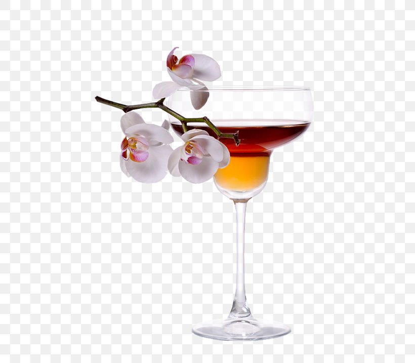 Cocktail Garnish Champagne Glass Cup Photography, PNG, 541x717px, Cocktail Garnish, Alcoholic Beverage, Champagne Glass, Champagne Stemware, Classic Cocktail Download Free