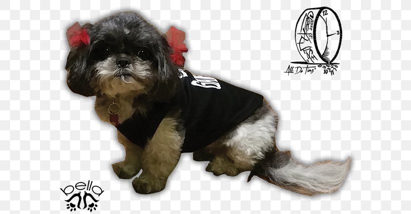 Dog Breed Shih Tzu Havanese Dog Puppy Companion Dog, PNG, 600x427px, Dog Breed, Bark, Breed, Carnivoran, Companion Dog Download Free