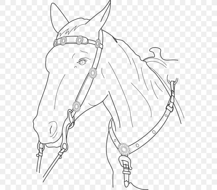 Horse Stallion Drawing Clip Art Coloring Book, PNG, 572x720px, Horse, Animal, Arm, Artwork, Black And White Download Free