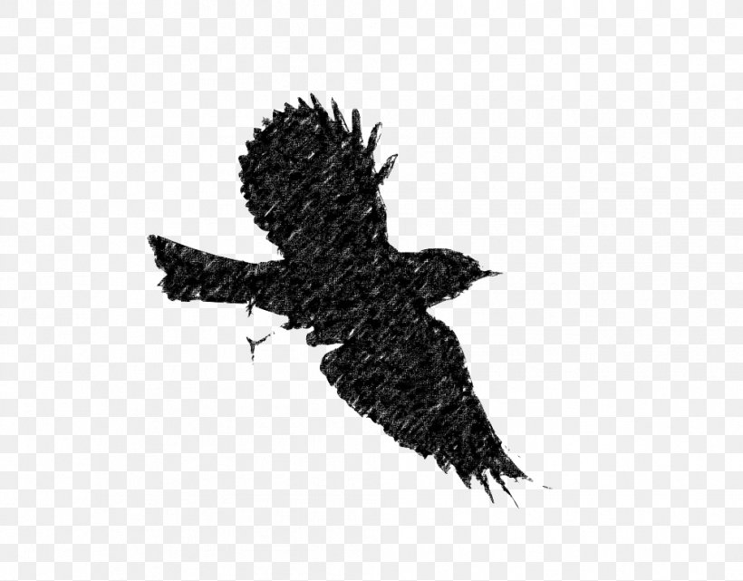 Bird Flight European Robin Silhouette Clip Art, PNG, 992x776px, Bird, Beak, Bird Flight, Bird Of Prey, Black And White Download Free