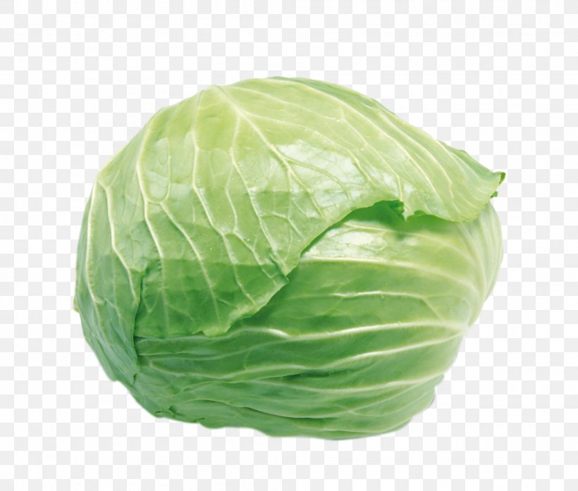 Cabbage Cauliflower Vegetable Food Stir Frying, PNG, 1989x1691px, Cabbage, Allium Fistulosum, Brassica Oleracea, Cauliflower, Chinese Cabbage Download Free