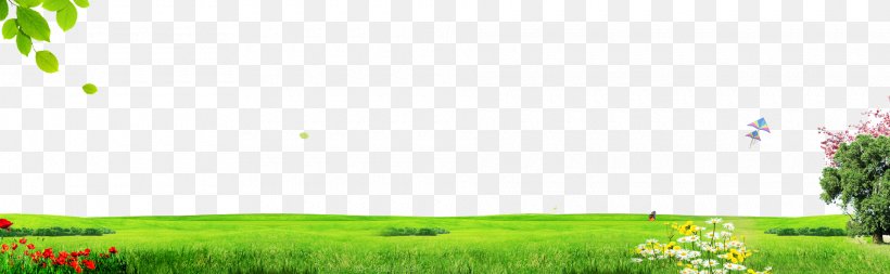 Lawn Grasses House Energy Wallpaper, PNG, 1920x593px, Lawn, Brand, Computer, Energy, Family Download Free