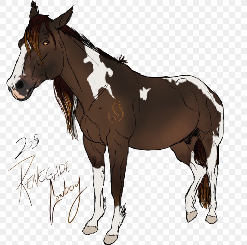 Mule Foal Stallion Bridle Pony, PNG, 897x890px, Mule, Bridle, Colt, Foal, Halter Download Free
