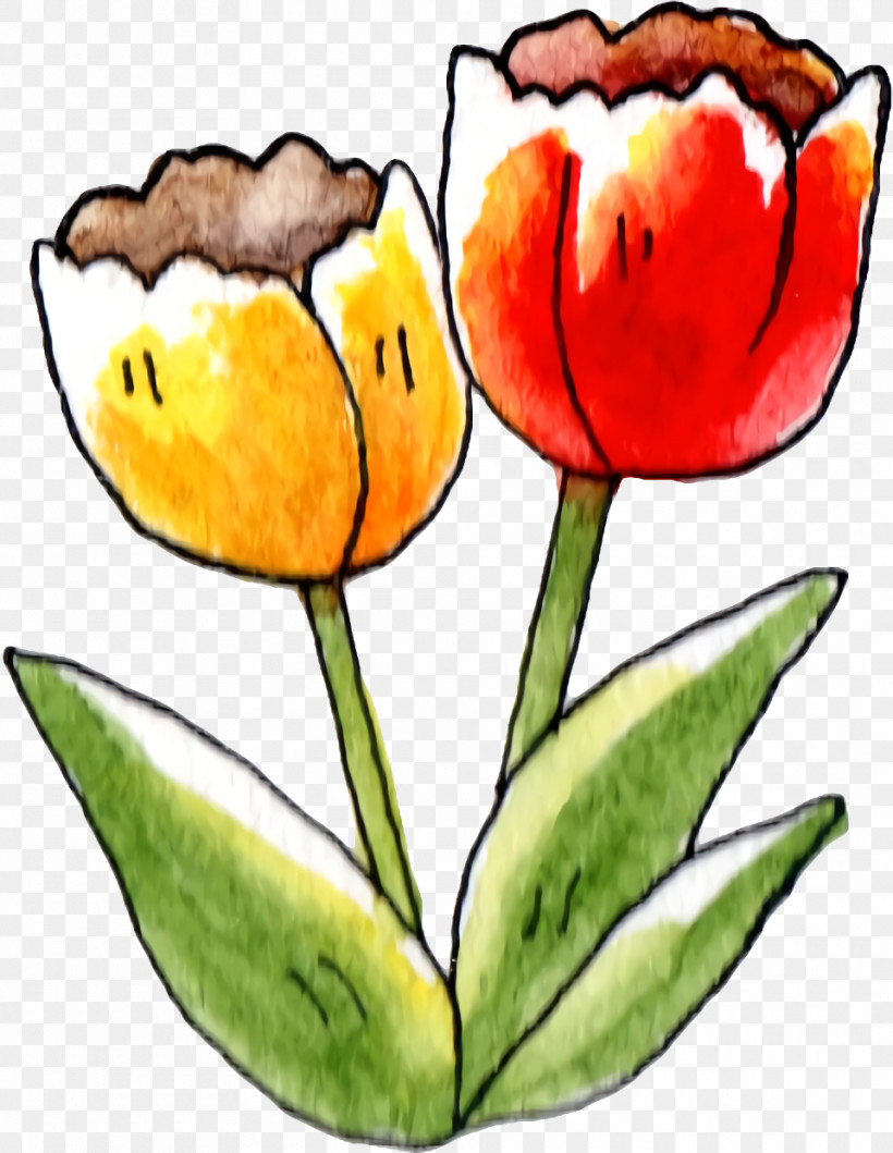 Tulip Plant Stem Cut Flowers Petal Herbaceous Plant, PNG, 960x1240px, Tulip, Biology, Cut Flowers, Flower, Herbaceous Plant Download Free