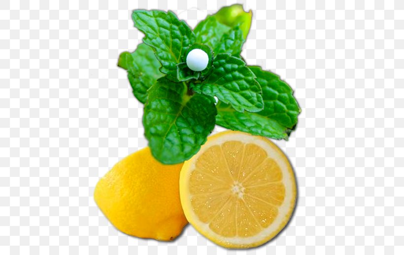 Lemon-lime Drink Key Lime Rangpur Citron, PNG, 535x519px, Lemon, Acid, Bitter Orange, Citric Acid, Citron Download Free
