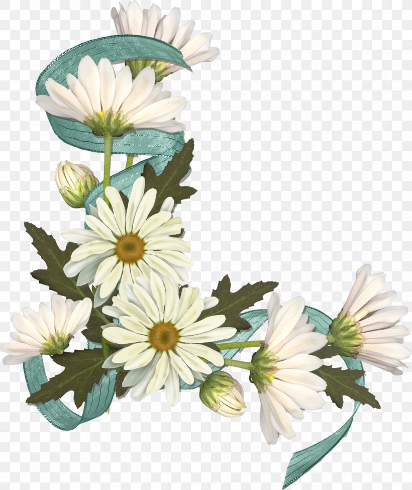 Matricaria Clip Art, PNG, 1009x1200px, Matricaria, Aster, Chrysanths, Cut Flowers, Daisy Download Free