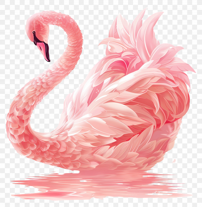 Pink Swan - Pink Swan Floating On Water PNG