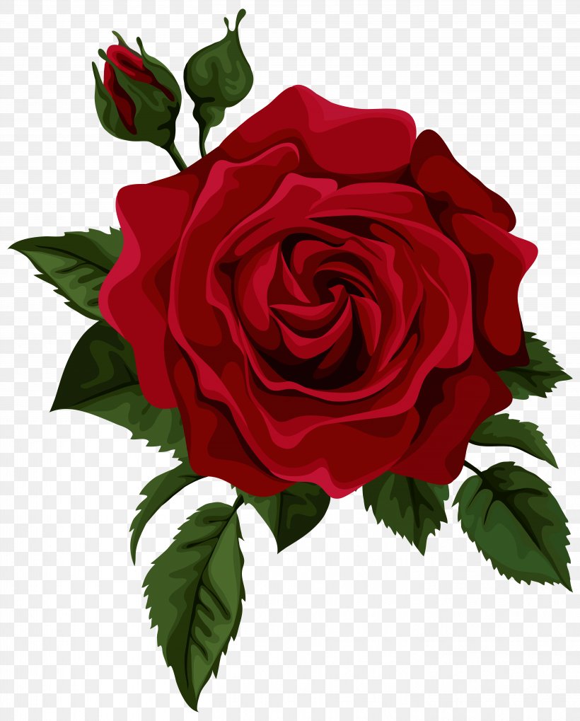 Rose Drawing Clip Art, PNG, 5632x7000px, Rose, Annual Plant, Bud, China Rose, Cut Flowers Download Free