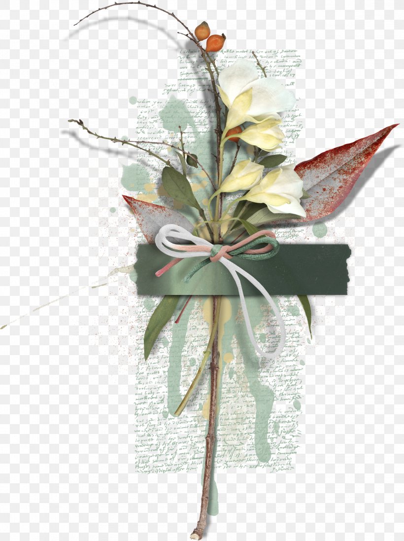 Biological Specimen Biology Petal, PNG, 2317x3100px, Biological Specimen, Biology, Flora, Flower, Leaf Download Free