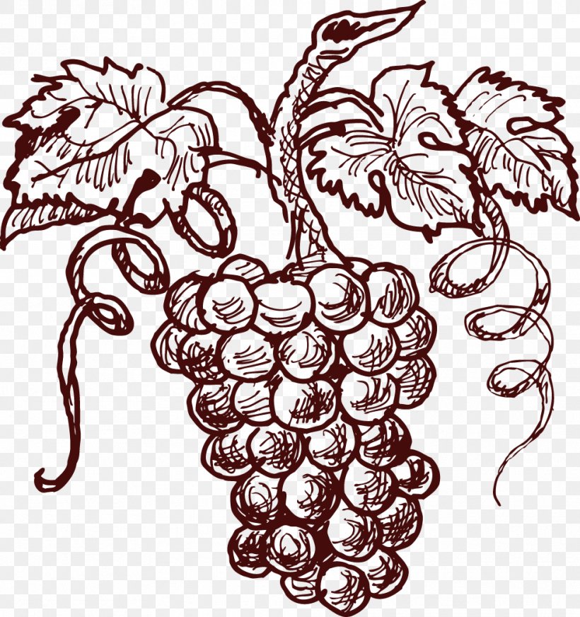Cabernet Sauvignon Sauvignon Blanc Shiraz Kyoho Wine, PNG, 986x1049px, Cabernet Sauvignon, Artwork, Black And White, Common Grape Vine, Drawing Download Free