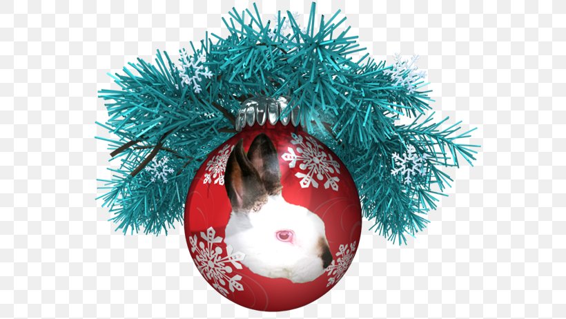 Christmas Ornament A Pawsome Day YouTube Boxing Day, PNG, 576x462px, 2017, Christmas, Boxing Day, Christmas Decoration, Christmas Ornament Download Free