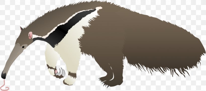 Giant Anteater Aardvark Oroonoko Echidna, PNG, 900x398px, Anteater, Aardvark, Animal, Animal Figure, Carnivoran Download Free