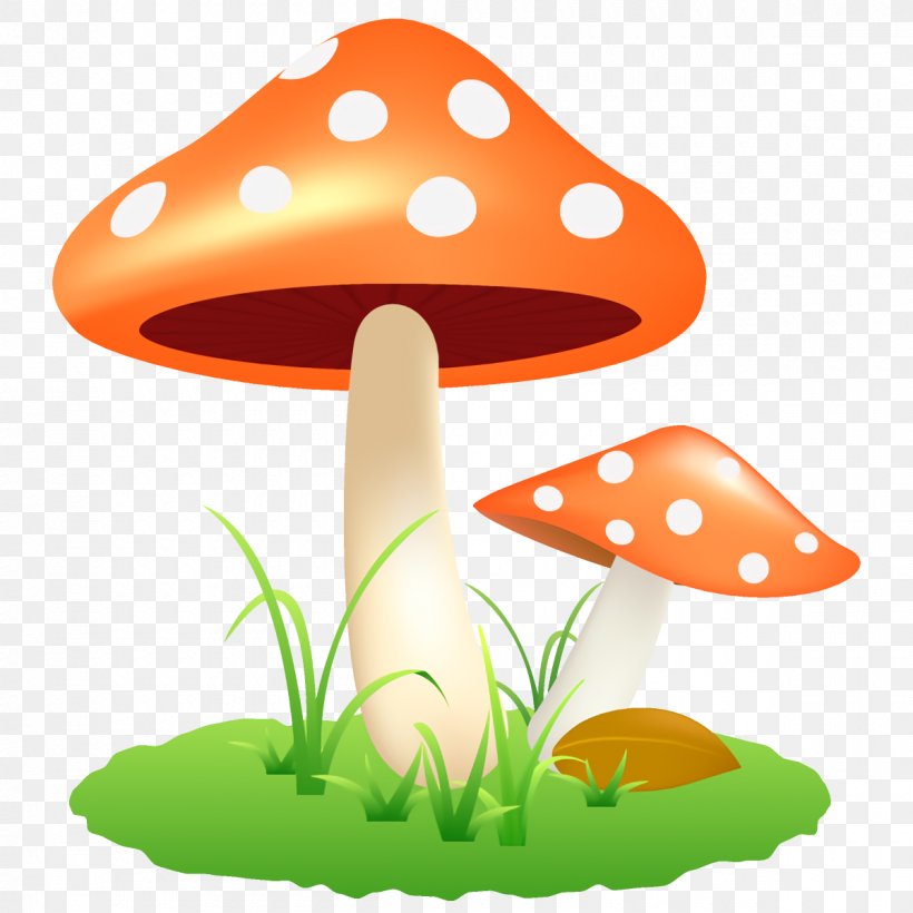 Mushroom Clip Art Fungus Agaric, PNG, 1200x1200px, Mushroom, Agaric, Fungus Download Free
