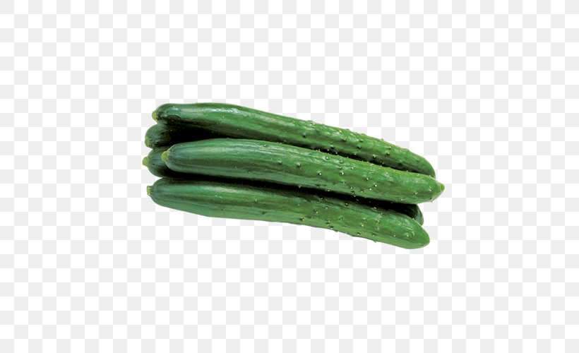 Pickled Cucumber Melon, PNG, 500x500px, Cucumber, Bmp File Format, Company, Cucumber Gourd And Melon Family, Cucumis Download Free