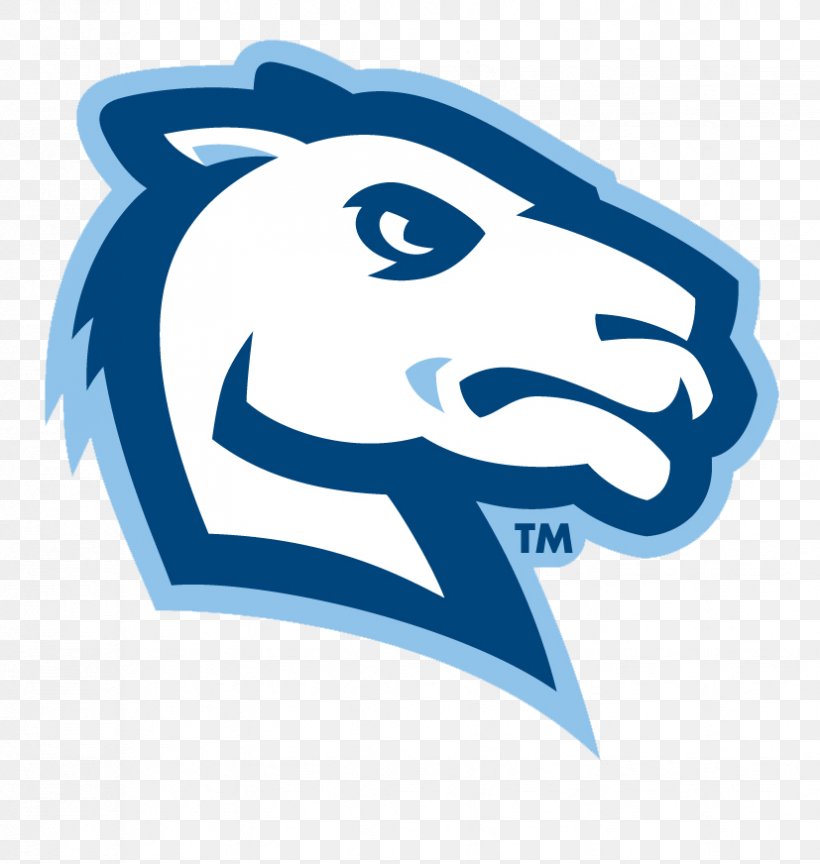 Connecticut College Camels Women's Basketball Merrimack College University Of Connecticut Connecticut College Camels Men's Basketball, PNG, 827x872px, Connecticut College, Alumnus, Area, Blue, Brand Download Free