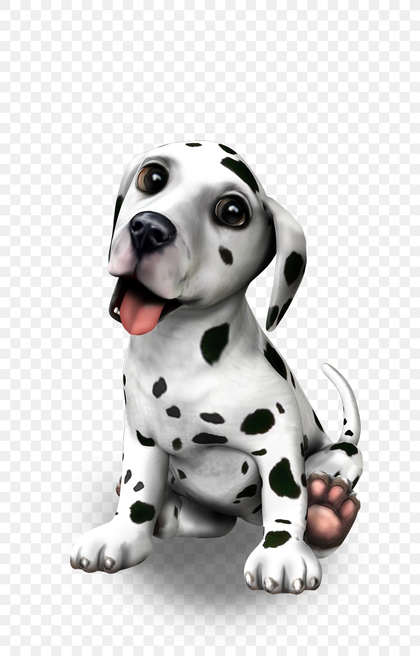 Dalmatian Dog Puppy Dog Breed Companion Dog Pet Sitting, PNG, 698x1280px, Dalmatian Dog, Boston Terrier, Carnivoran, Companion Dog, Cuteness Download Free
