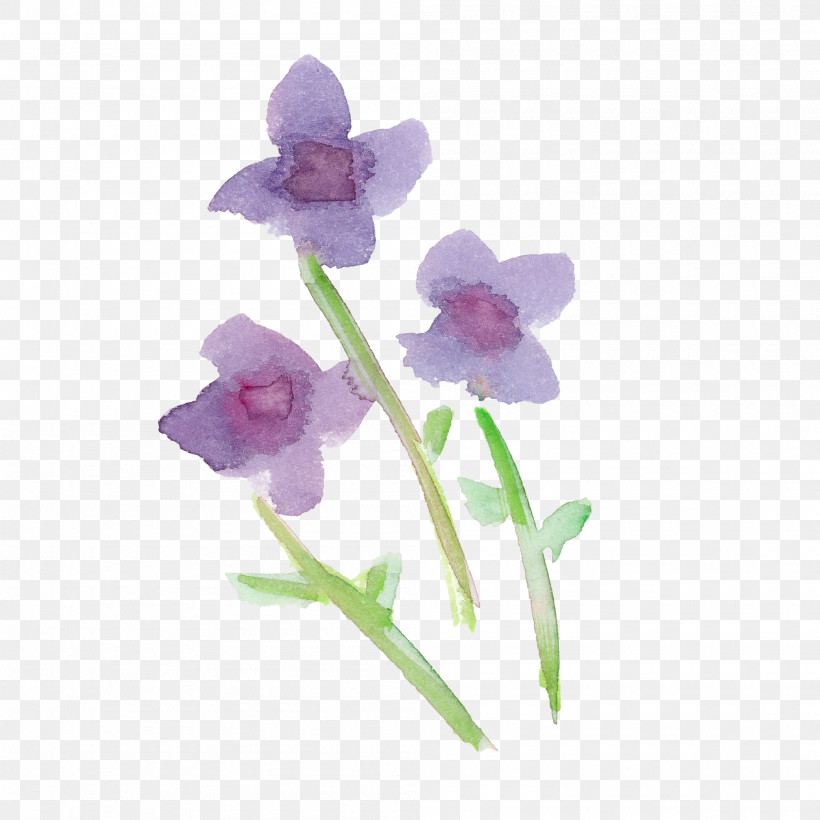 Flower Violet Plant Purple Petal, PNG, 2000x2000px, Watercolor Flower, Cattleya, Cattleya Labiata, Cut Flowers, Dendrobium Download Free